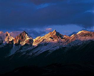 万代S.H.MonsterArts泡狐龙模型 将于明日开订